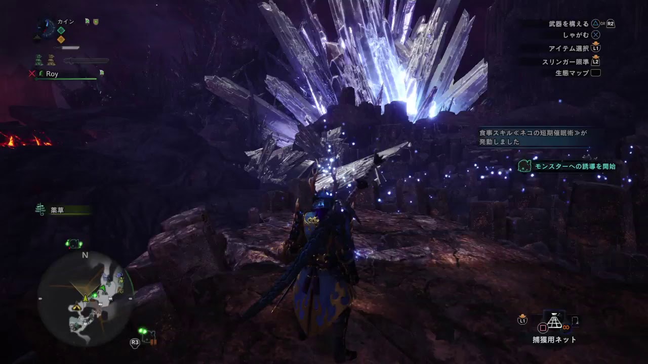 PS4  モンスターハンターワールド ＃3