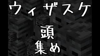 マインクラフトをゆっくり実況part　「ウィザスケの頭２つ取るまでかえれま10！」