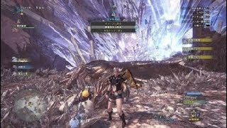 モンスターハンター：ワールド_20181120215759