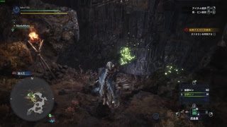 今から始めるモンスターハンターワールド