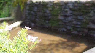 マインクラフト～まったり雑談～　宇治抹茶