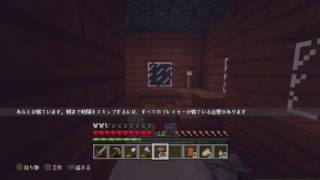 開拓と繁栄。ゲスト針猫さん[マインクラフト PS4]