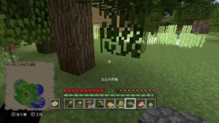 【マインクラフト】Grassland－草原－サバイバル　＃6　生配信