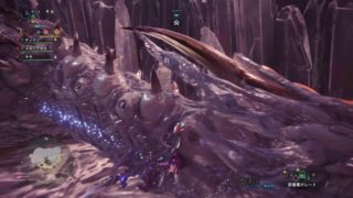 モンスターハンター：ワールド_兄貴と狩り(^^)