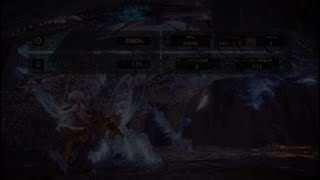 モンスターハンター：ワールド　ワキ汗ハンター