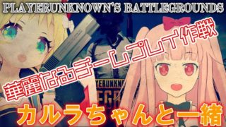 【PUBG コラボ実況】カルラちゃんと一緒に1キル目指すのだ【女子Vtuber】