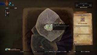 モンスターハンター：ワールド　歴戦王ゼノ・ジーヴァソロ　貫通ヘビィ　7分50秒　MHW