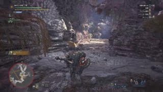 モンスターハンター：ワールド　イビルジョーVSツィツィヤック