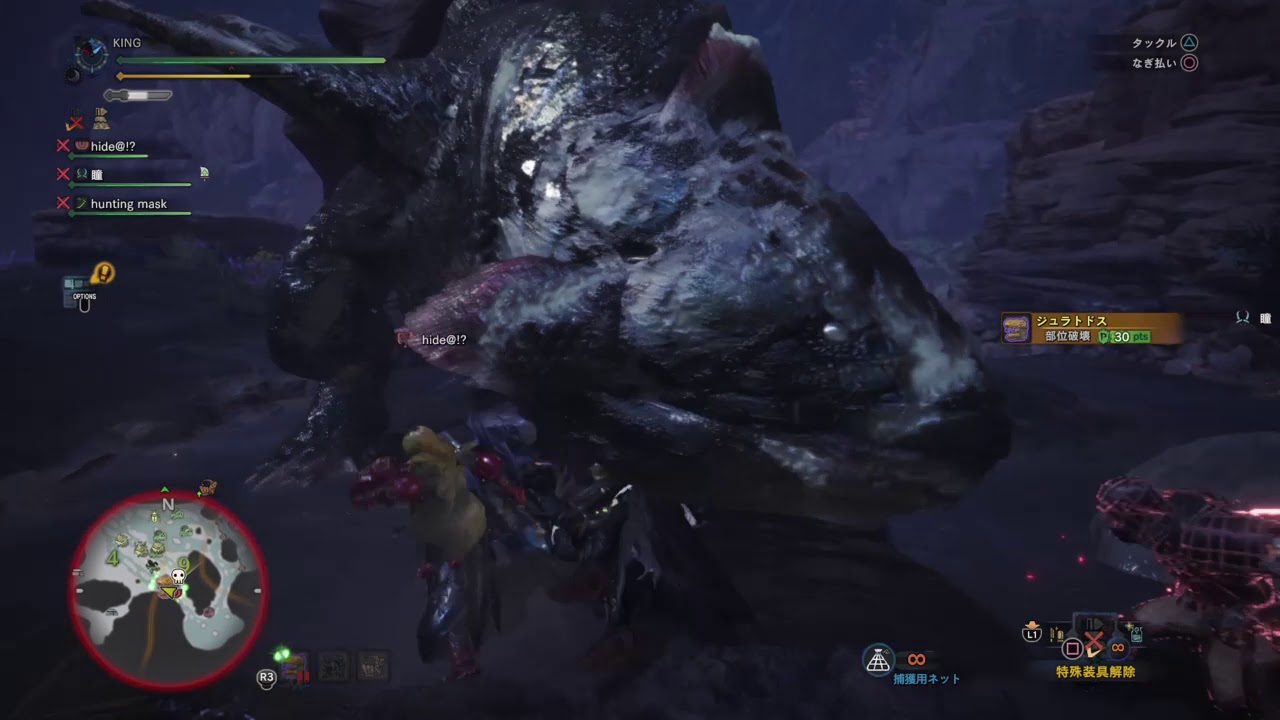 モンスターハンター：ワールド_20181114225942