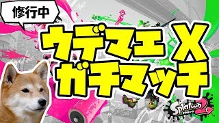 【スプラトゥーン2】ウデマエX ガチマッチ！【プラコラ/バブル/朝練】