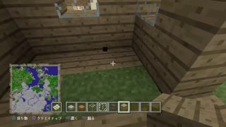 涙無しには見られないマインクラフト配信