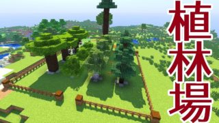 【マインクラフト】拠点にきれいな植林場をつくるよ！ #30【マイクラ実況】Minecraft