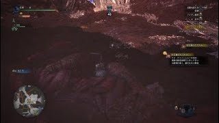 モンスターハンター：ワールド_20180202082114