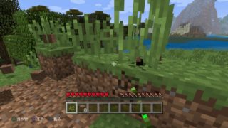 マインクラフト　試験プレイ