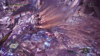 モンスターハンターワールド　歴戦王ゼノ狩ります～～～！#2