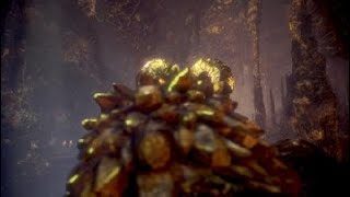 モンスターハンター：ワールド_マムタロト