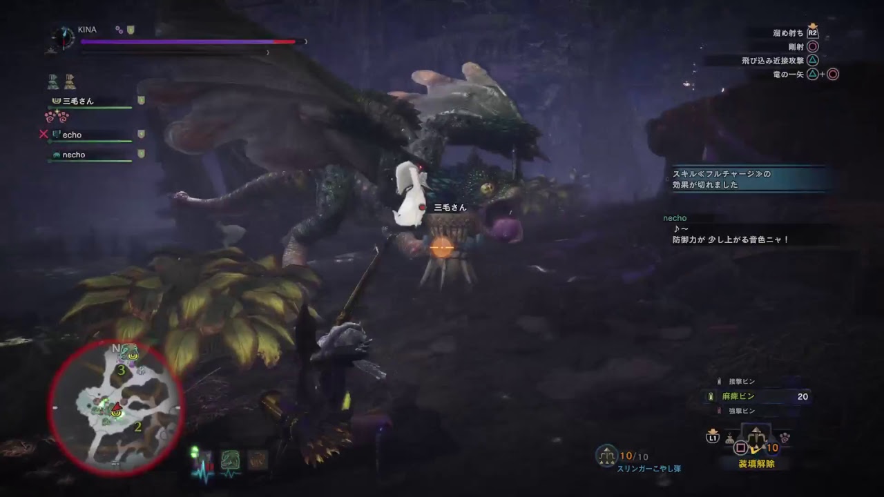 趣味はゲーム、PS4 Pro モンスターハンター：ワールド ？？日目