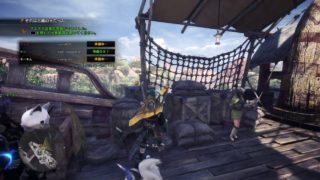 モンスターハンターワールド歴戦王ゼノ・ジーヴァ討伐するまで配信