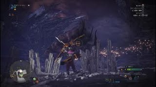 モンスターハンター：ワールド_20181119010537