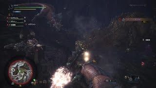 イビルジョー　ハンマー　昏倒　モンスターハンター：ワールド_20181108152851