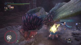 モンスターハンター：ワールド_20181111　斬れ味維持の操虫棍