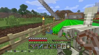 Minecraft　マインクラフト　まさかのドクロ馬ゲット