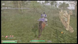 真・三國無双8やるよー♪