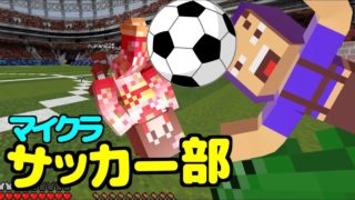 【マインクラフト】カートでサッカー⚽⁈【あしあと】