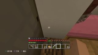 マインクラフトでBaDさんとサバイバル　part.2