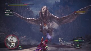 モンスターハンターワールド　ＶＳクシャルダオラ