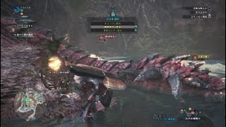 モンスターハンター：ワールド_20181015022311