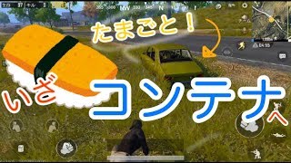 【PUBGモバイル】寿司、ほぼ初めてのソロ【女性実況】