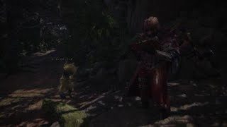 モンスターハンター：ワールド_20181202184945