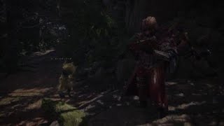 モンスターハンター：ワールド_20181202184945