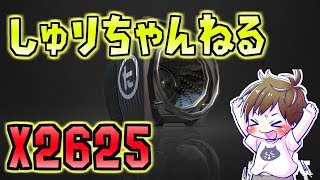 ナワバリチョーシ上げ【スプラトゥーン2/ウデマエX】