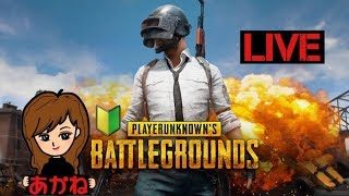 [女性実況]PUBG初配信 初心者です教えて下さい。PS4