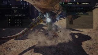 モンスターハンター：ワールド_20181229220134