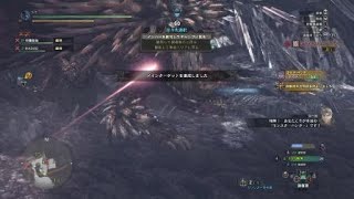モンスターハンター：ワールド_20181229180623