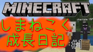 【マインクラフト】しまねこく建国！家を創る　やれんパンツ