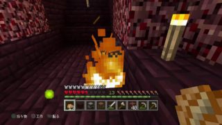 【マインクラフト】雪馬と相方のグダグダ生活　＃５