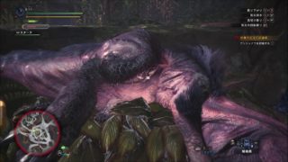 モンスターハンターワールド　ＶＳアンジャナフ