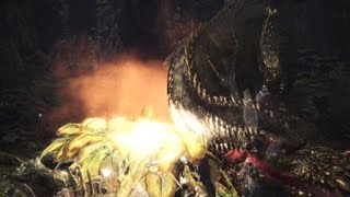 モンスターハンター：ワールド_諾拉之深奧