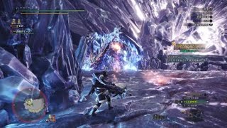 モンスターハンター：ワールド_20181213201320