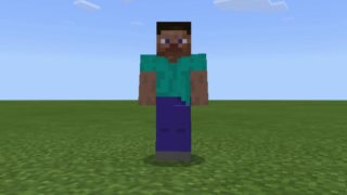 【低レベルMAD】おさかな天国【マインクラフト】