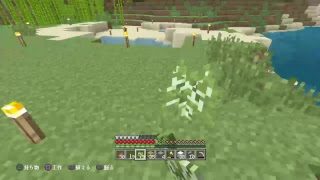 マインクラフト　垂れ流し配信