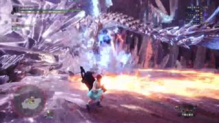 (1080p60HD)高画質！モンスターハンターワールド#174