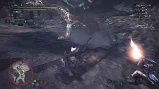 睡眠真溜め 王クシャルダオラ モンスターハンター：ワールド_20181214222909