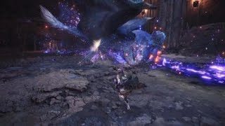 モンスターハンター：ワールド_20181229010617