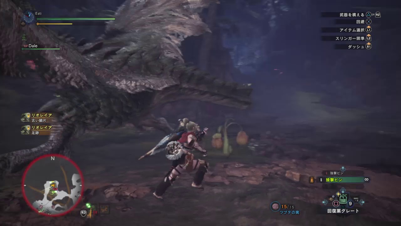 モンスターハンター：ワールド_20181222094446