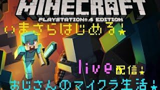 ＃4［マインクラフト］おっさん初めてのマイクラに挑む！